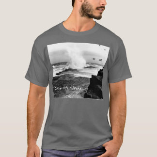 Camiseta Oceanos Ate Alaska