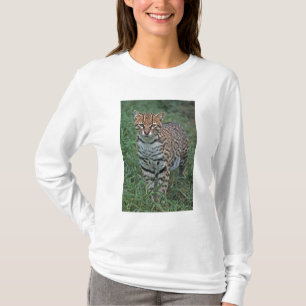 Camiseta OCELOTE (Leopardus pardalis) AMÉRICA CENTRAL