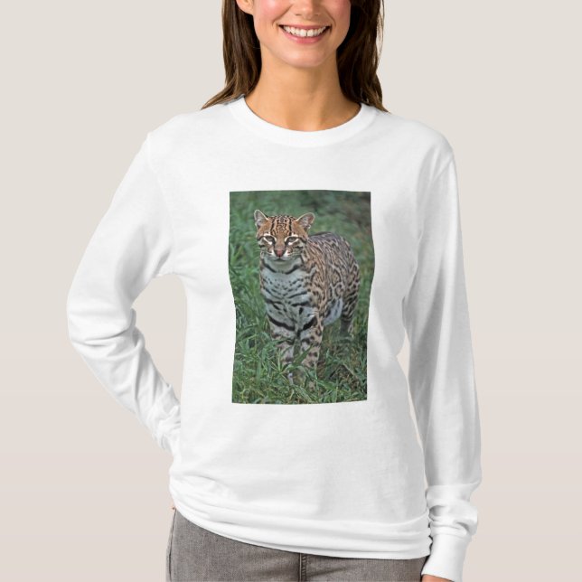 Camiseta OCELOTE (Leopardus pardalis) AMÉRICA CENTRAL (Frente)