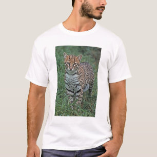 Camiseta OCELOTE (Leopardus pardalis) AMÉRICA CENTRAL