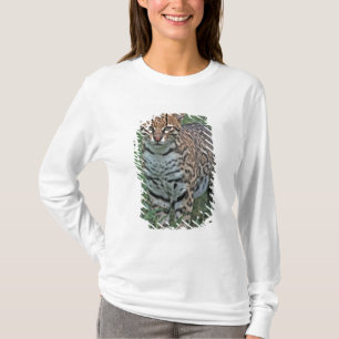 Camiseta OCELOTE (Leopardus pardalis) AMÉRICA CENTRAL