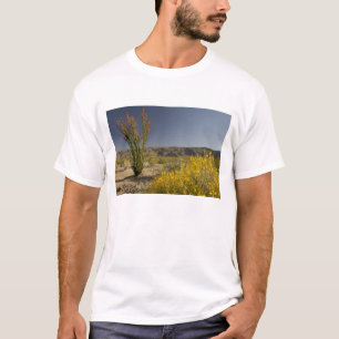 Camiseta Ocotillo e senna do deserto
