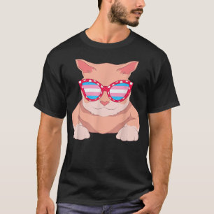 Camiseta Óculos de Sol Orgulho Trans Bandeira Transsexual G