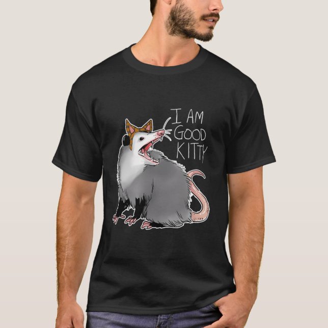 Camiseta Ogambm I Possum I Am A Gatinho (Frente)