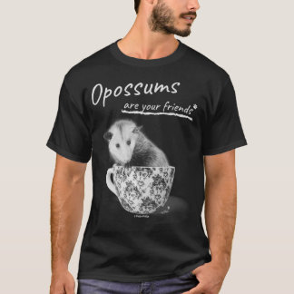 Camiseta Ogambms São Seus Amigos