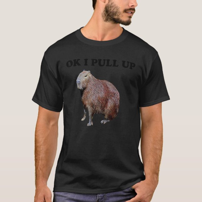 Camiseta Ok Eu Chego Capivara (Frente)