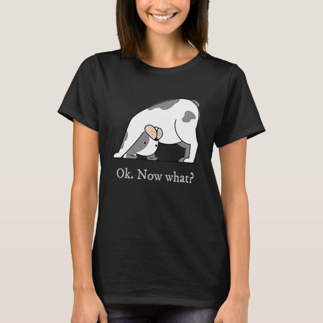 Camiseta Ok Now What Yoga Downward Dog Workout (Frente)