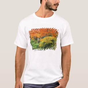 Camiseta Okochi Sanso, Arashiyama, Kyoto, Japão 2