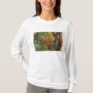 Camiseta Okochi Sanso, Arashiyama, Quioto, Japão 5