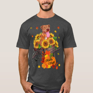 Camiseta Olá Cachorro Pitbull Queda No Outono Dos Girassóis