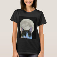 Olá, Gatinho e lua cheia