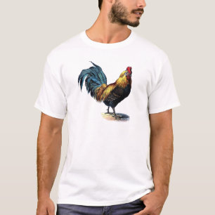 CAMISETA OLD ROOSTER
