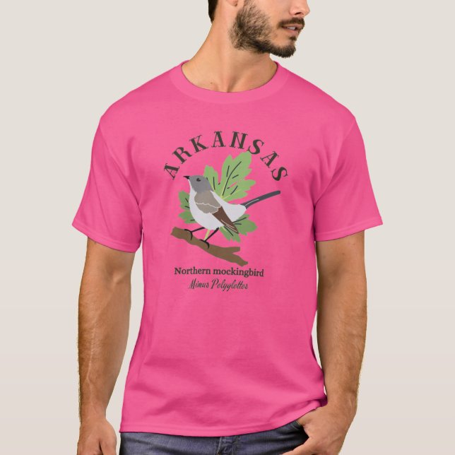 Camiseta OldFashioned Arkansas Northern Mockingbird Brown T (Frente)
