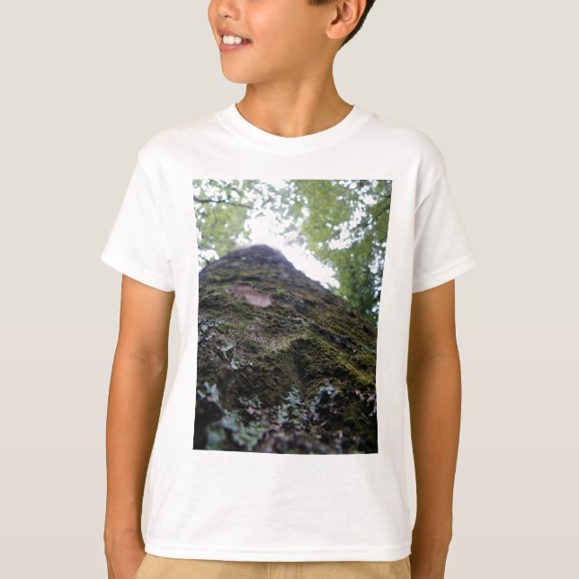 Camiseta Olhando acima o Kauri (Frente)