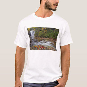 Camiseta Olhando o vidro cai no Pisgah National