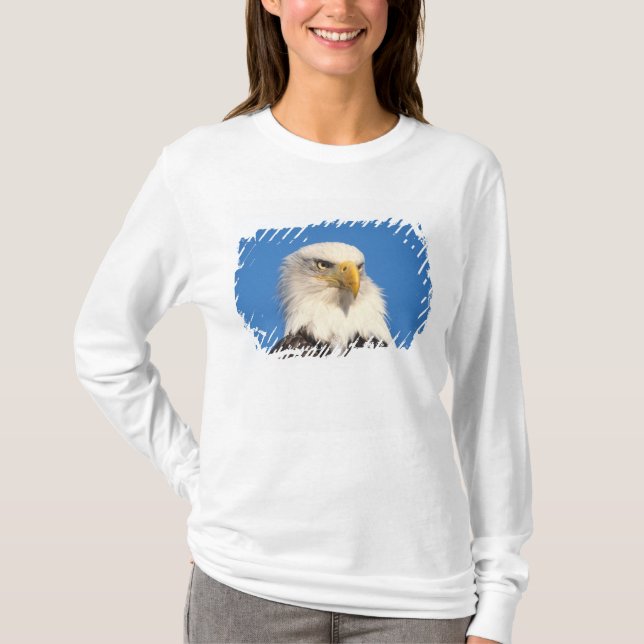 Camiseta Olhar de Águia Americana (Frente)