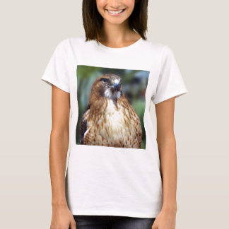 Camiseta Olhar do Falcom
