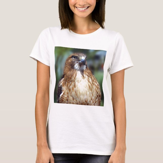 Camiseta Olhar do Falcom (Frente)