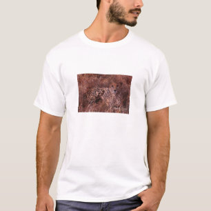 Camiseta Olhar fixo da chita