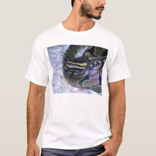 Camiseta Olhos de cobra