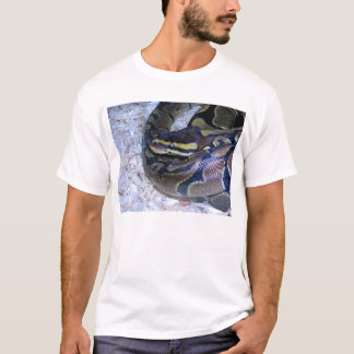 Camiseta Olhos de cobra
