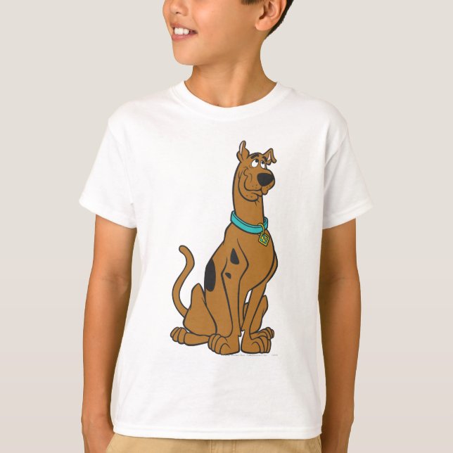 Camiseta Olhos De Puppy Scooby-Doo (Frente)