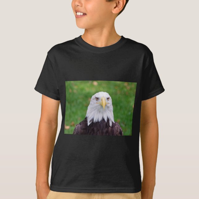 Camiseta Olhos de uma águia careca (Frente)