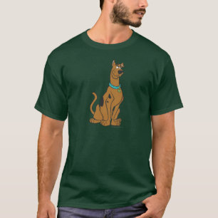 Camiseta Olhos do filhote de cachorro de Scooby-Doo