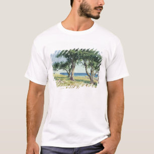 Camiseta Oliveiras velhas, Bordighera