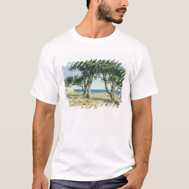 Camiseta Oliveiras velhas, Bordighera (Frente)