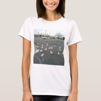 Camiseta Onde a praia para as gaivotas