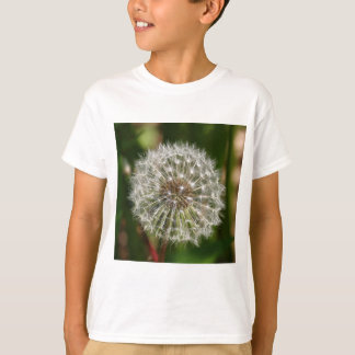 Camiseta Onde o vento sopra