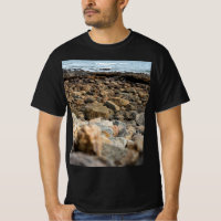 Ondina Shoreline: Rugged Coastal Stone Landscape