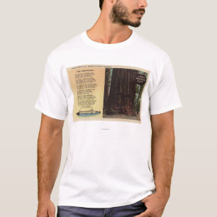 Camiseta Opinião a sequóia vermelha das pistas lisa