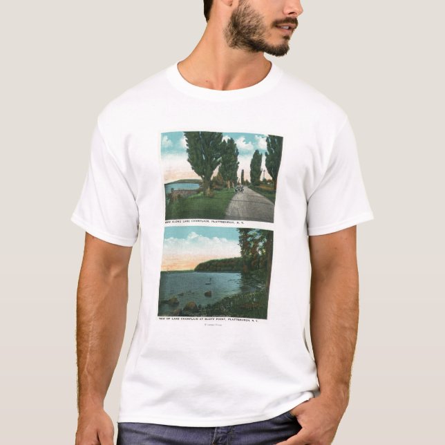 Camiseta Opinião da movimentação de Champlain do lago (Frente)
