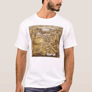 Camiseta Opinião do Central Park - John Bachman de Birdsey