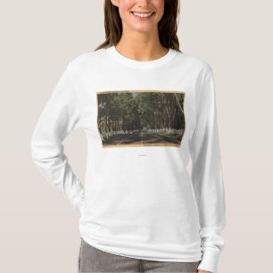 Camiseta Opinião do EL Camino Real dos E.U. 101 da estrada