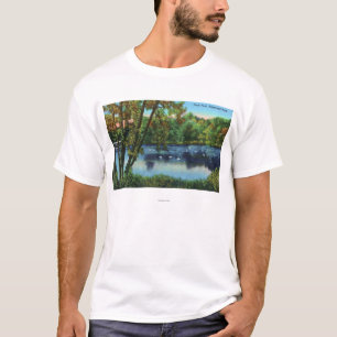 Camiseta Opinião do parque de Edgewood da lagoa do pato