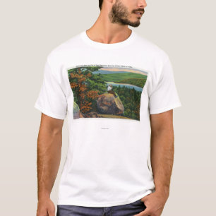 Camiseta Opinião equilibrada da rocha da corrente de Fulto