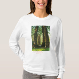 Camiseta Opinião gêmeos da sequóia vermelha no bosque