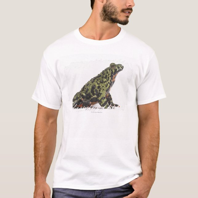 Camiseta Opinião lateral fogo oriental um sapo inchado (Frente)