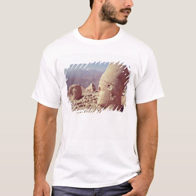 Camiseta Opinião uma cabeça colossal e uma águia (Frente)