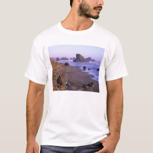 Camiseta OR, Costa do Oregon, Myers Creek, formações rochos