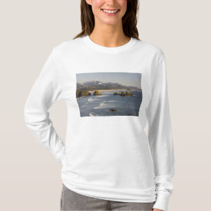 Camiseta OR, Costa do Oregon, Parque Estadual Ecola, vista