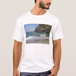 Camiseta OR, Costa do Oregon, Praia de Whaleshead, Sul