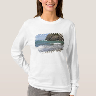 Camiseta OR, Costa do Oregon, Praia de Whaleshead, Sul