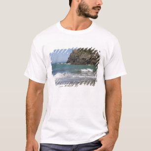 Camiseta OR, Costa do Oregon, Praia de Whaleshead, Sul