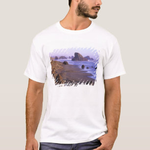 Camiseta OR, Oregon Coast, Myers Creek, formações rochosa