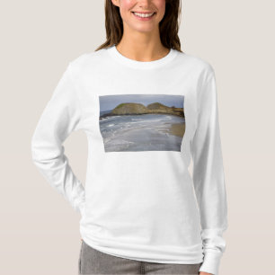 Camiseta OR, Oregon Coast, Seal Rock State Park,