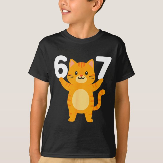 Camiseta Orange Cat 67 Meme Six Seven Funny Cat Lover  (Frente)